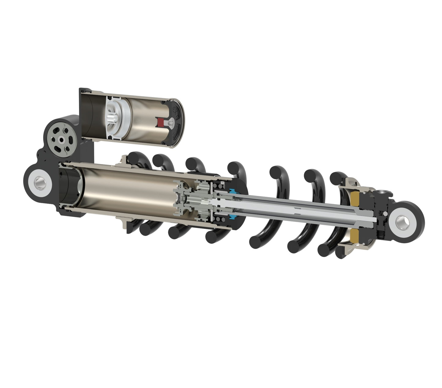 EXT Rear Shock
