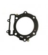 100mm Gasket - 480/530 big bore