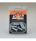 Moto-Master Rear Rotor Bolts