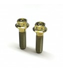 SLIDEmoto BlackTi Caliper Bolts